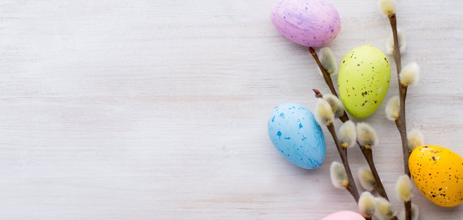 Easter and spring decorations Symbolic Easter decoration with willow catkins and five eggs dyed in different colours.