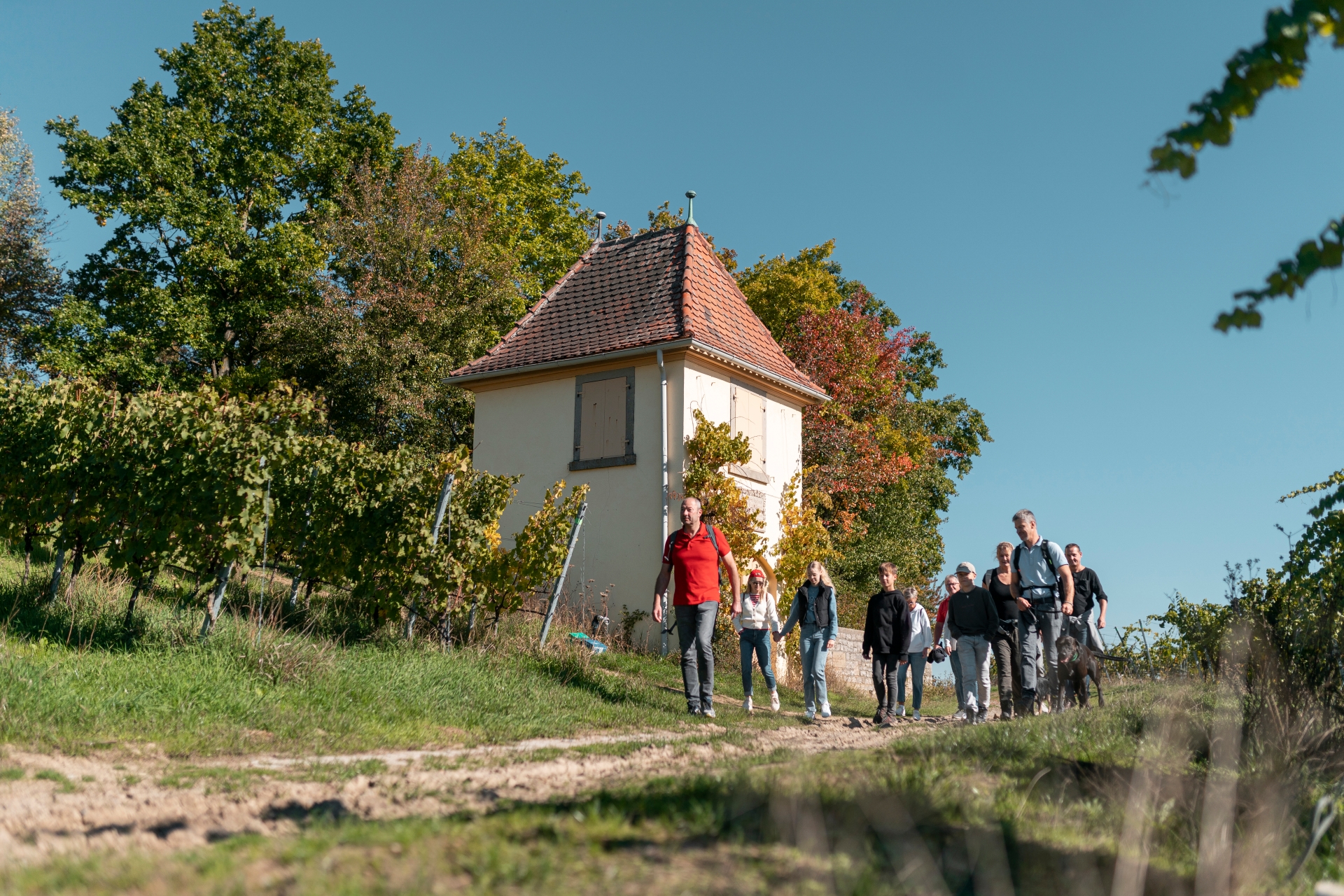 Guided tour on the WenWanderWeg