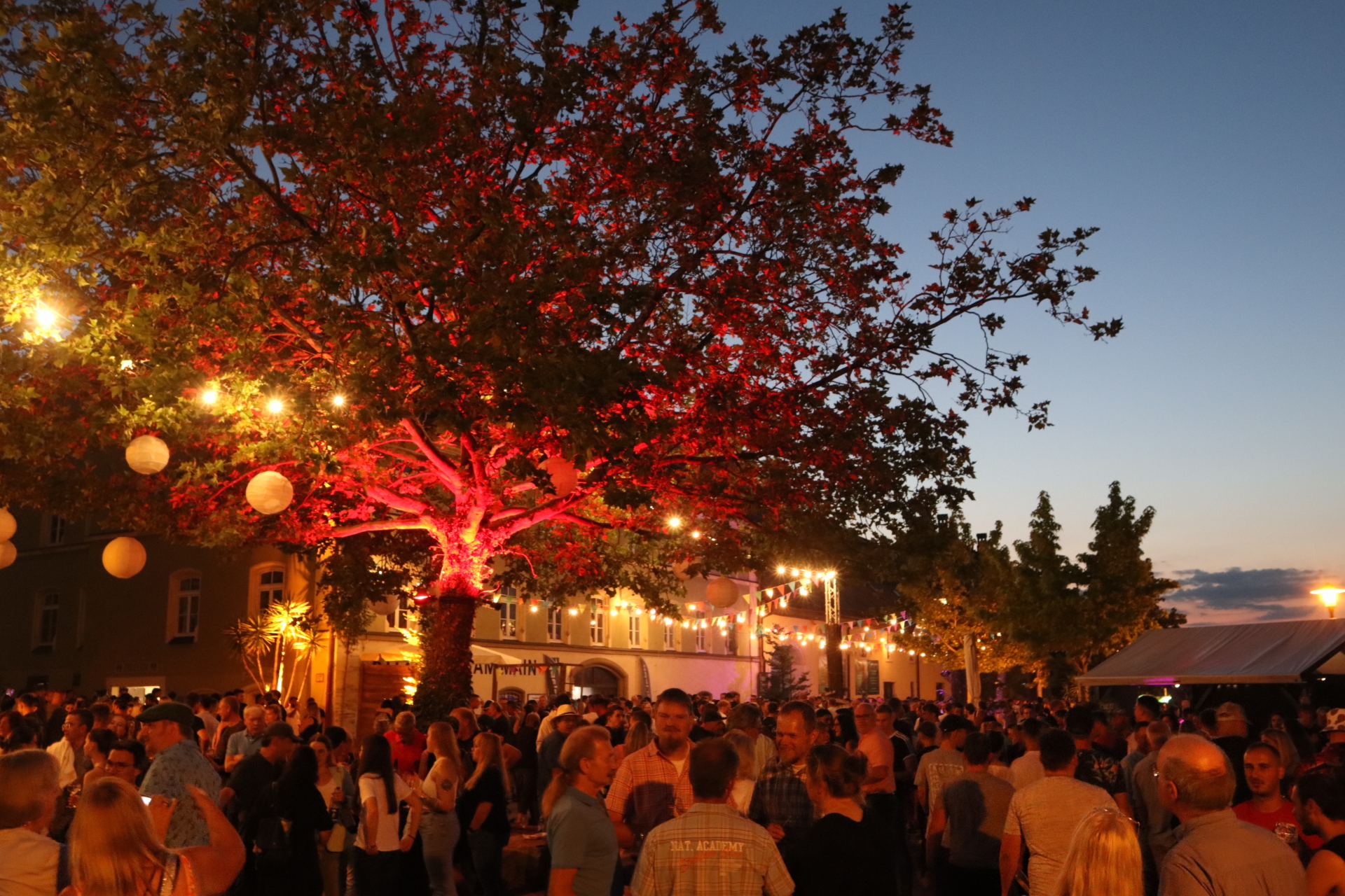 Crowd at the wine festival site, under an illuminated tree. It is evening