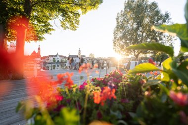 StadtSchoppen in Kitzingen with beautiful flowery planting